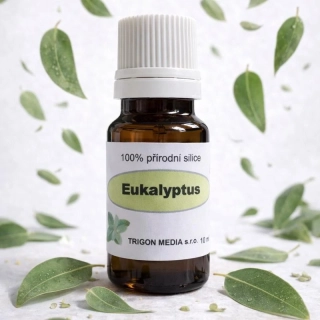 Eukalyptus 100% silice – 10 ml
